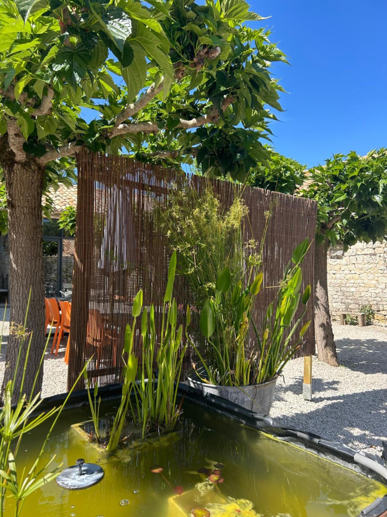 Les Fontanelles Du Quercy Blanc Villa Montcuq Exterior foto
